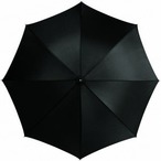 20'' 2-Section Umbrella