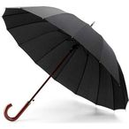 16-rib umbrella.