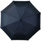 21.5'' 3-Section Auto Open And Close Umbrella